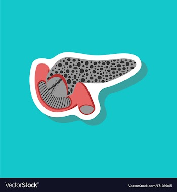 Duodenum and pancreas paper sticker on stylish vector image