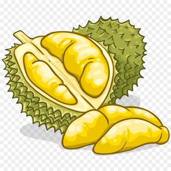Durian Food Flavor Fruit Clip art - Durian 