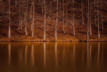During an excursion in the Nebrodi Park in Sicily, a take this image at Lake Maullazzo, with the beautiful reflection of the forest on the lake.