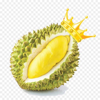Durio zibethinus Thai cuisine Fruit Food Snack - Durian 