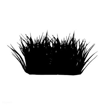 Dwarf hair grass silhouette on white backgrou.. | Free stock vector - 488646