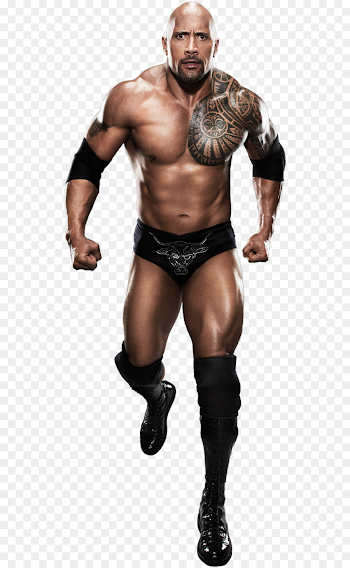 Dwayne Johnson Fathead, LLC Wall decal Professional wrestling ...