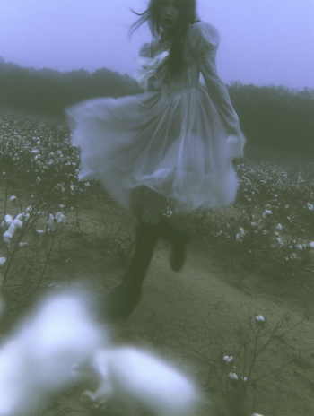 Dynamic Elegance in Cotton Field