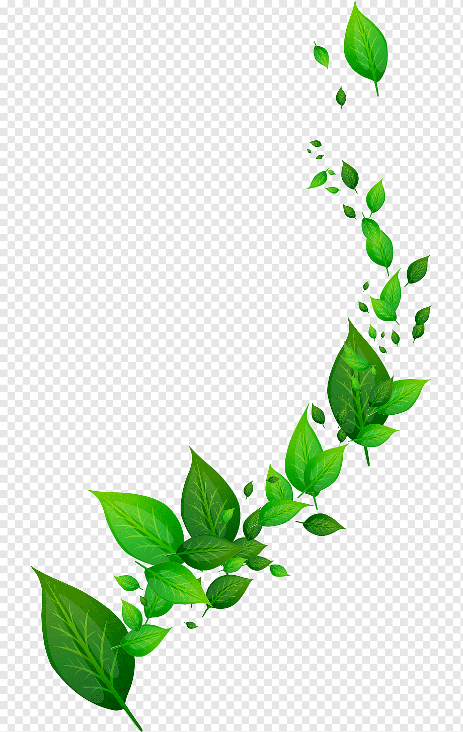 Dynamic leaf, green leafed illustration, leaf, maple Leaf, branch png