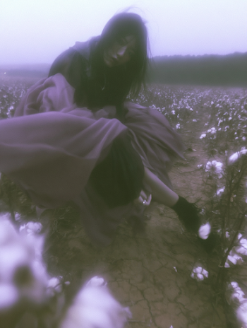 Dynamic Motion in an Arid Cotton Field