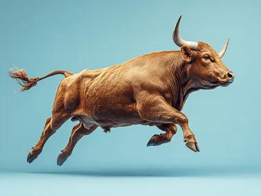 Dynamic Profile of a Brown Bull in Motion