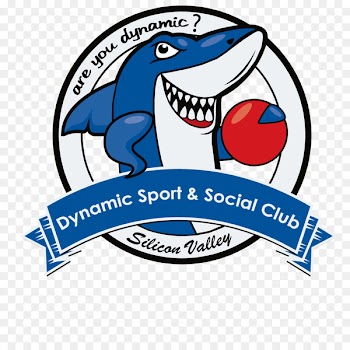 Dynamic Sport & Social Club Sports league Kickball Football - football 