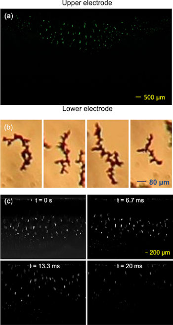 Dynamics of nonspherical, fractal-like water-ice particles in a ...