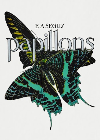 E.A. S&eacute;guy's Papillons (1925) butterfly | Free Photo Illustration - rawpixel