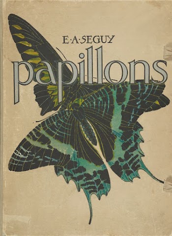 E.A. S&eacute;guy's Papillons (1925) butterfly | Free Photo Illustration - rawpixel
