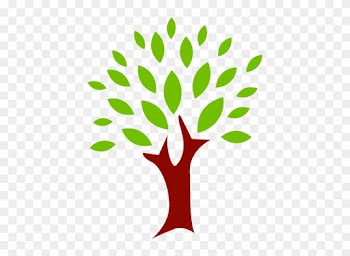 Each Node Can Be Considered Its Own Root Node Since - Natural Health Inc