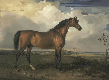 Eagle, a Celebrated Stallion | Free Photo - rawpixel
