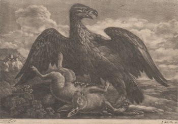Eagle and Hare | Free Photo - rawpixel