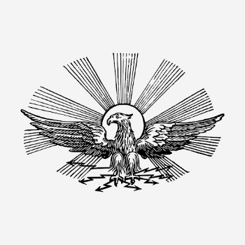 Eagle, animal illustration. Free public | Free Photo Illustration - rawpixel