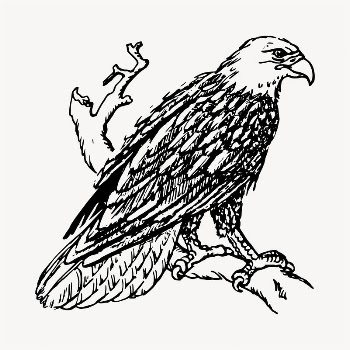 Eagle bird illustration clipart vector. | Free Vector - rawpixel