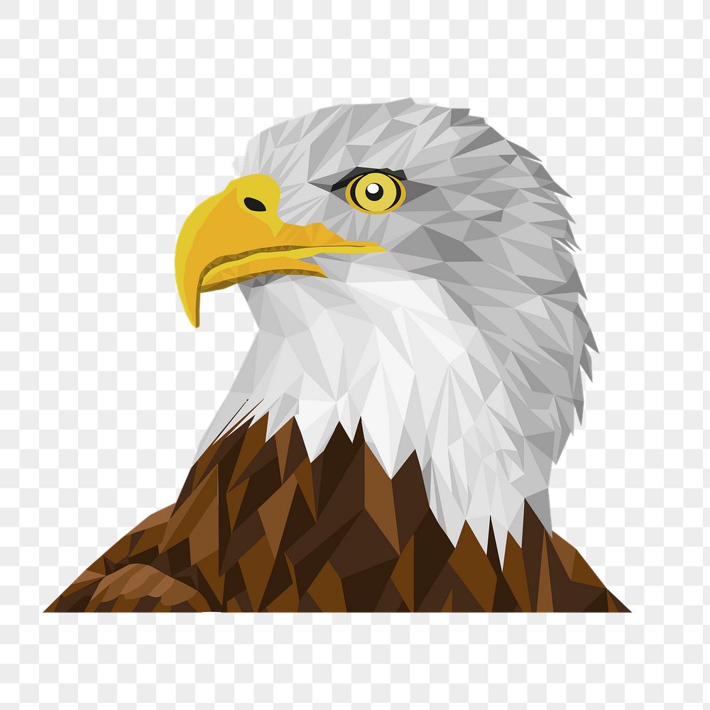 Eagle bird png sticker, animal | Free PNG - rawpixel