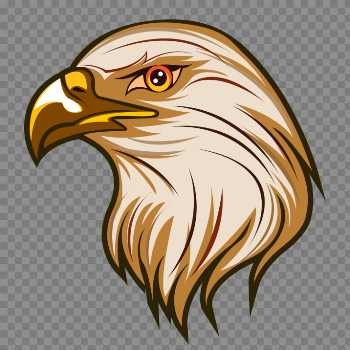 Eagle Clipart PNG Image Free Download searchpng.com