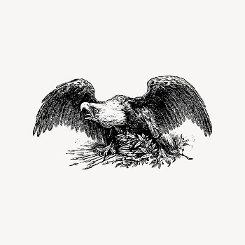 Eagle clipart, vintage illustration vector. | Free Vector - rawpixel