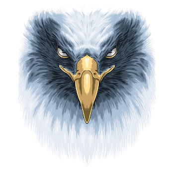 Eagle Face from NeatoShop | Day of the Shirt