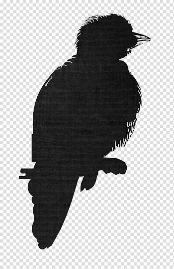 Eagle Fauna Silhouette Crow Beak, eagle transparent background PNG clipart