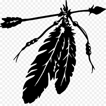 Eagle feather law Native Americans in the United States Indian Arrow Clip art - feather 