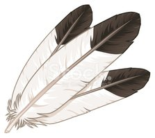 Eagle Feathers stock vectors - Clipart.me