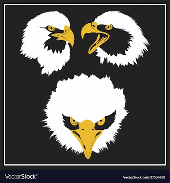 Eagle head cmyk color vector image