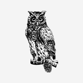 Eagle owl drawing, vintage bird | Free Photo - rawpixel
