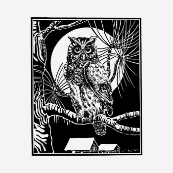 Eagle owl drawing, vintage bird | Free Photo - rawpixel