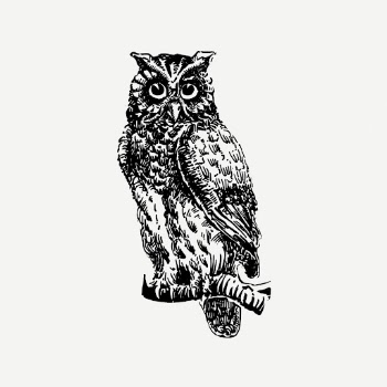 Eagle owl drawing, vintage bird | Free PSD - rawpixel