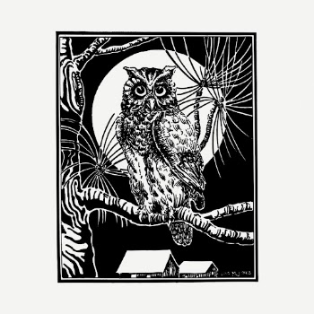 Eagle owl drawing, vintage bird | Free PSD - rawpixel