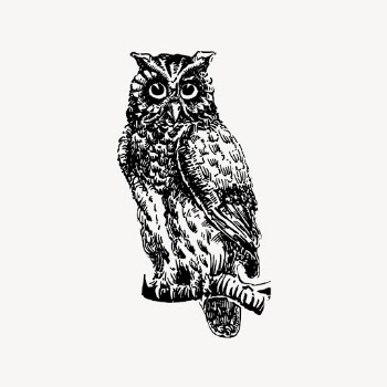 Eagle owl drawing, vintage bird | Free Vector - rawpixel