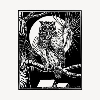 Eagle owl drawing, vintage bird | Free Vector - rawpixel