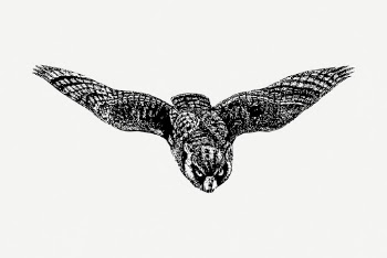 Eagle owl drawing, vintage hand | Free PSD - rawpixel