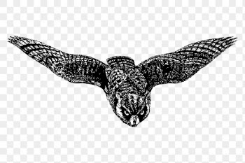 Eagle owl png sticker, vintage | Free PNG - rawpixel