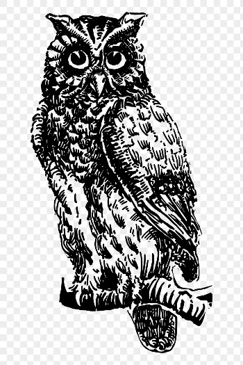 Eagle owl png sticker, vintage | Free PNG - rawpixel