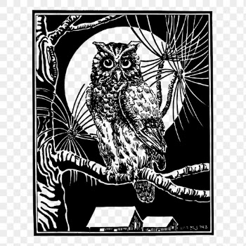 Eagle owl png sticker, vintage | Free PNG - rawpixel