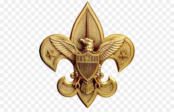 Eagle Scout Service Project Boy Scouts of America World Scout Emblem Scouting - others 
