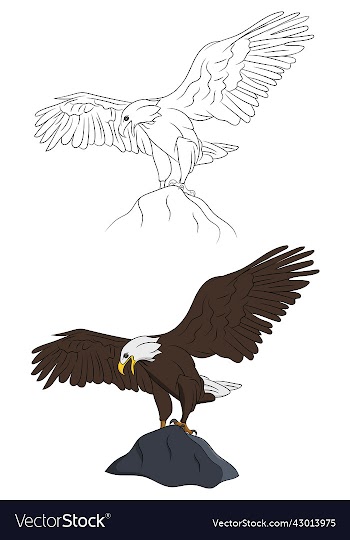 eagle set