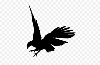 Eagle Silhouette Clip art - Eagle black siluet PNG image, free download 