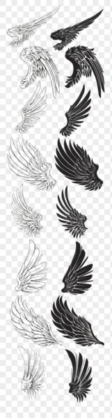 eagle wings brush PNG