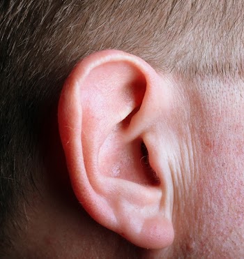 Ear_5184.JPG