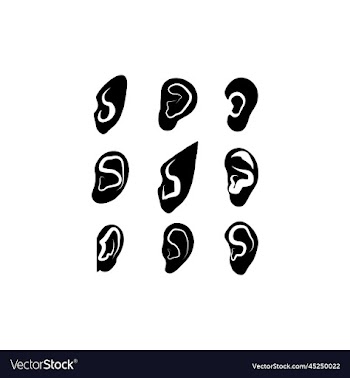 ear anatomy human silhouette icon