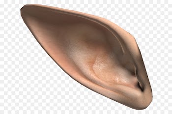 Ear Elf - Elf ears 