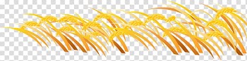 Ear Frames , wheat transparent background PNG clipart