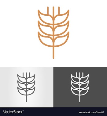Ear of wheat vector image