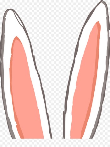 Ear Rabbit Computer file - Rabbit ears 