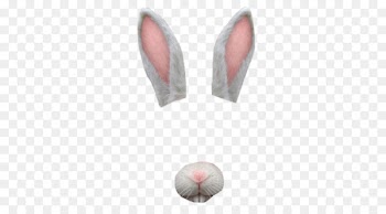 Ear Rabbit - ear 