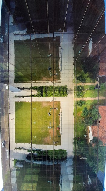 Earial View of Grass Field