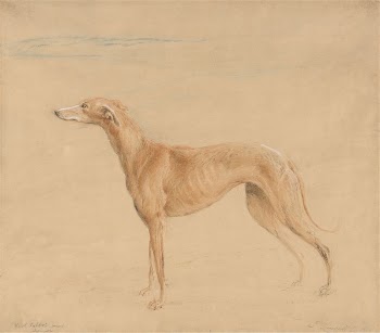 Earl Talbot's Hound, Thomasine | Free Photo - rawpixel